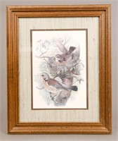 Framed & Matted Bird Print