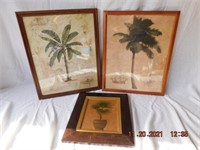 3 Palm tree prints
