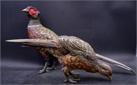 Bronze Pheasants