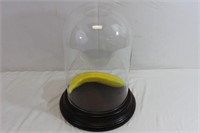 Glass Display Cloche Dome with Wood Base