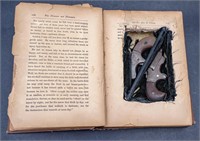 Hidden book dueling pistols