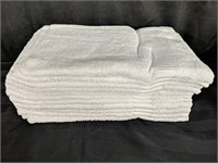 New! Choice Hotels Endura Weave Hand Towels (12)
