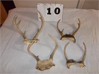 4 Deer Horns