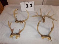 4 Deer Horns