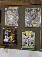 (4) Green Bay Packers Pictures