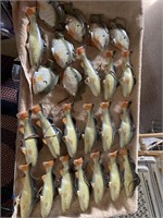 Box lot: wood fish