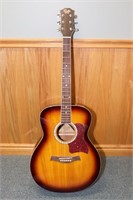 Delta DF-40 VS Acoustic guitar