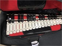 Xylophone with soft side case