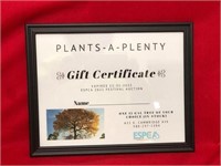 Save the planet, plant a tree! *Unique gift idea