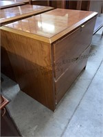 32.25x20.25 2 intact file drawer cabinet.