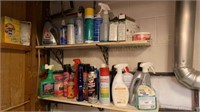 Cleaning Supplies & Bug Killers