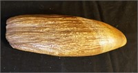 VIntage LARGE 9" Whale Tooth