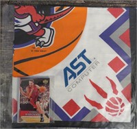 1994 Toronto Raptors Flag & 2007 Team Set Cards