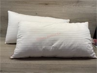 2 perfect fill standard pillows