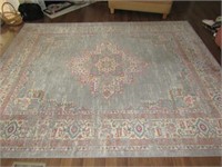 Passion Nourison Area Rug Made in Turkey