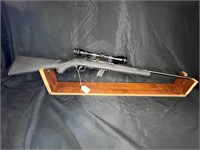 Stevens Model 62, 22 Long Rifle