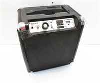 Ion Amplifier