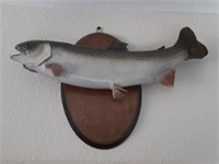 Mounted Trout