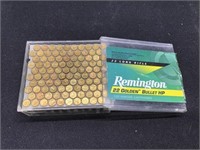 Remington 22 Golden Bullet HP