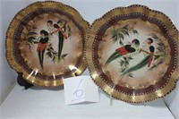 2 10" PARROT PLATES