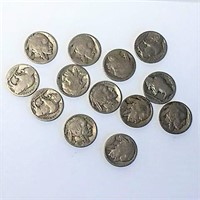Thirteen Buffalo Nickels