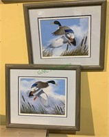 2 framed original artwork - mallard ducks in