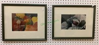 2 framed vegetable photo prints by Jane Jones.