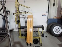 Nordic Flex Gold Workout Machine