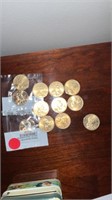 12 Sacajawea dollar coins