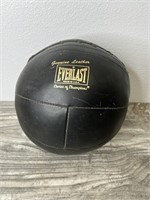 Everlast Genuine Leather Medicine Ball!