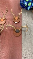 4 set of deer antlers