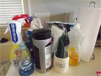 Cleaning Supplies and Paper Towel Holder