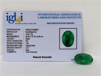 14.43cts Natural Emerald. Oval cut. IGL&I certifie