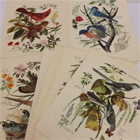Vtg Bird Prints