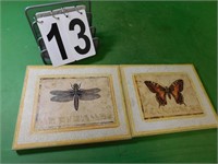 2 8" X 10" Pictures Mosquito - Butterfly