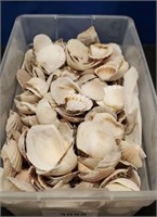 Tub of Sea Shells