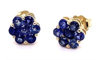 14k Yellow Gold Blue Sapphire Earrings