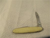 Taylor Small White Handle Pocket Knife