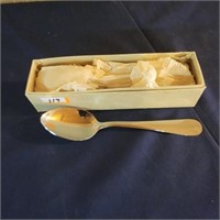 Stainless Spoon Set