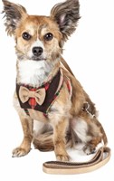 Pet Life Dapperbone 2 in 1 Dog Leash Harness
