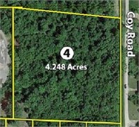 TRACT 4: 4.25± Acres of woods