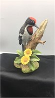 Downy Woodpecker by Andrea # 9386