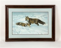 Charles Frace "Surprise" Fox Lithograph Print