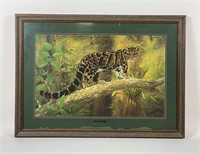 Charles Frace "Clouded Leopard" Lithograph Print