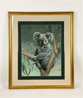 Charles Frace Signed Framed Koala Print