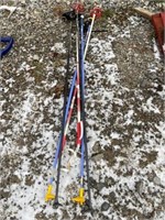 SKI POLE GROUP