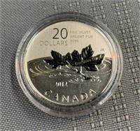 2012 Canada 20 dollar proof coin, Pièce de 20 $