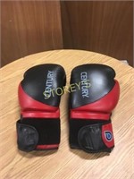 Pair of Century Boxing Gloves - Large