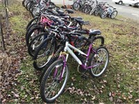 (10) IMPOUNDED BICYCLES - SEE INFO BELOW