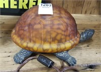 Lighted turtle
